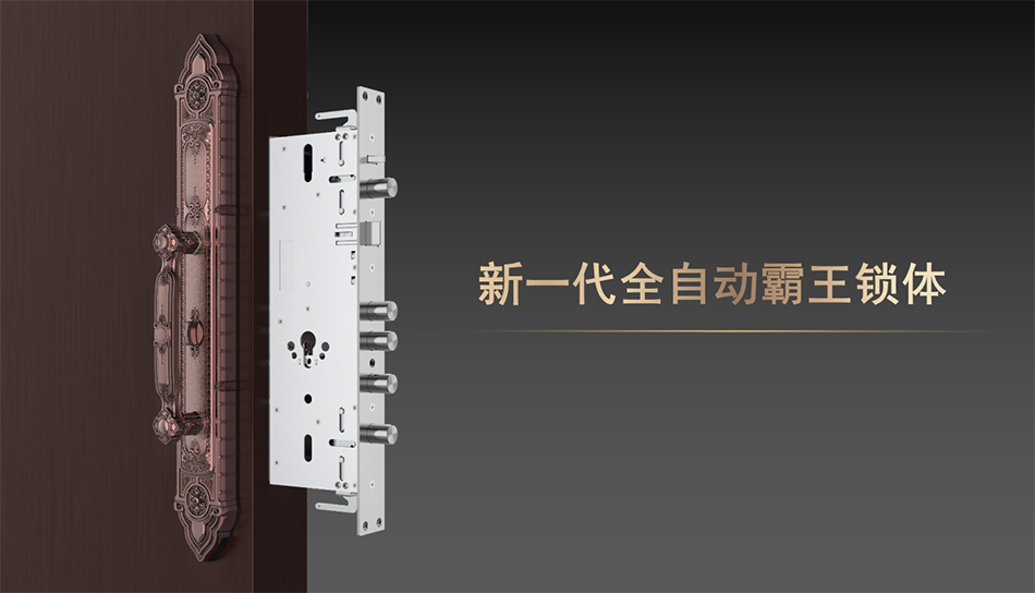 新一代霸王锁体 新一代霸王锁体