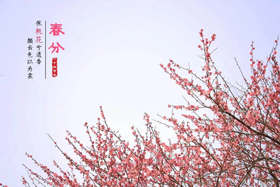 春分 | 百万红包全”分”你,亚太天能愿你今春好心情!