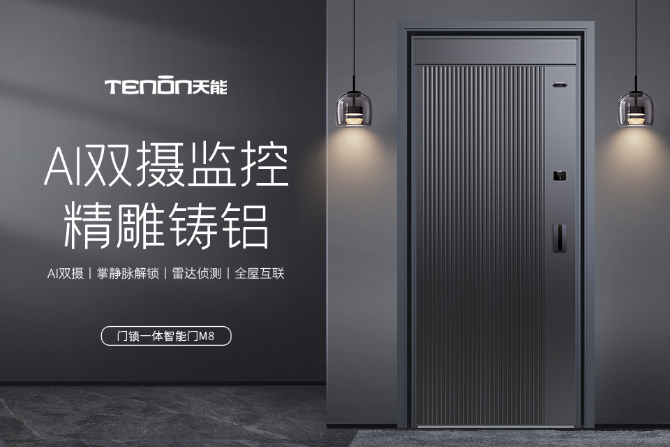天能智能门M8青春版︱Ai双摄监控 精雕铸铝